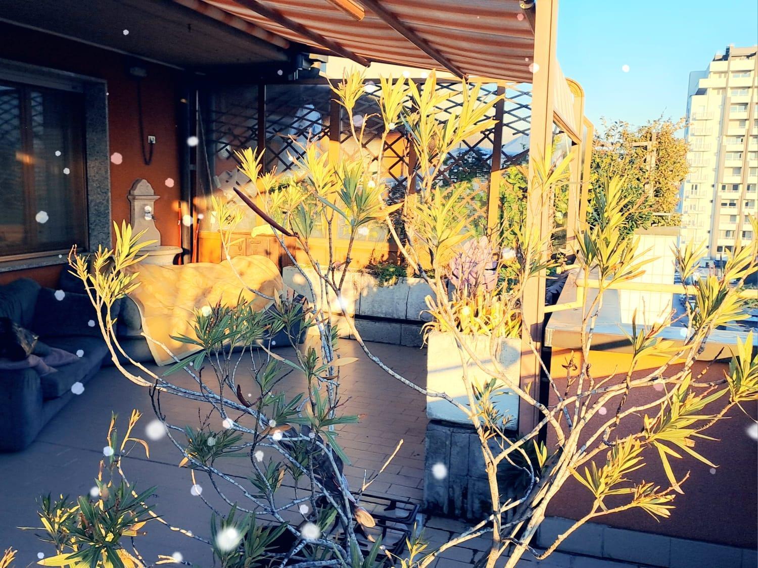 Meraviglioso Super Attico Con Terrazza Milan Exterior photo